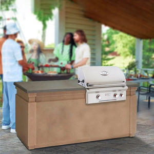 American Outdoor Grill T-Series 24" Gas Grill with Backburner built into a concrete counter
