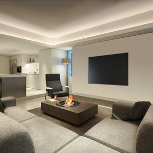 EcoSmart Fire Martini 50-Inch Rectangular Fire Pit Table at Commercial Space