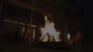 Fire Pit Art Bella Vita Stainless Steel Fire Pit