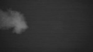 Grilling on the Fire Magic Mixed Gas Grills