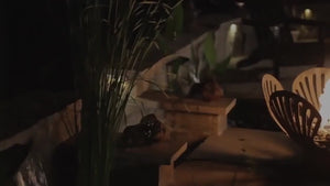 Fire Pit Art Barefoot Beach Handcrafted Carbon Steel Fire Pit