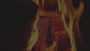 Unforgettable Moments with the Seasons Fire Pits