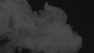 Primo Ceramic Kamado Grill