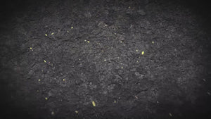 Primo Ceramic Grill Overview