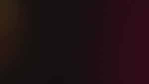 Bromic Smart Heat Wireless Controls