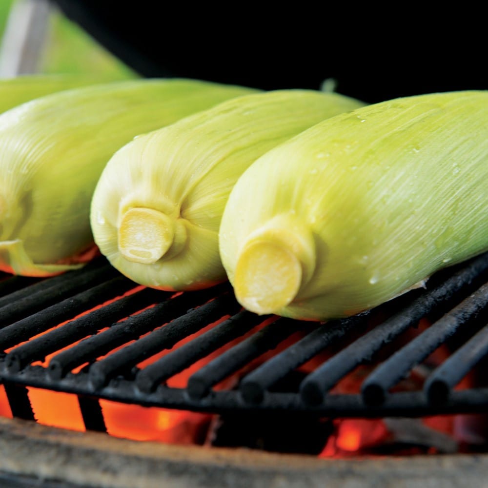 Corn Roasting