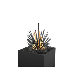 Desert Sticks on Fire Pit