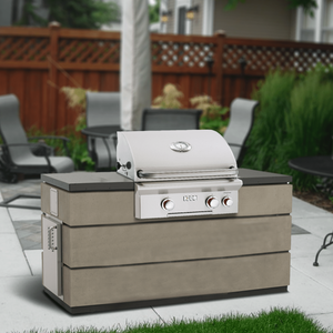 American Outdoor Grill T-Series 30-Inch Built-In Gas Grill in a backyard