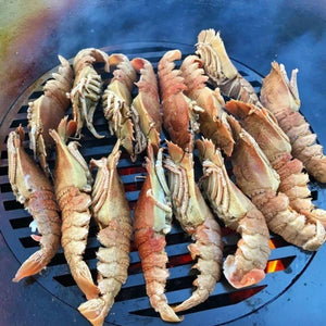 Grilling shrimp on an arteflame grill grate