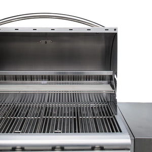 Blaze Prelude LBM 25-Inch 3-Burner Gas Grill with full stainless steel construction