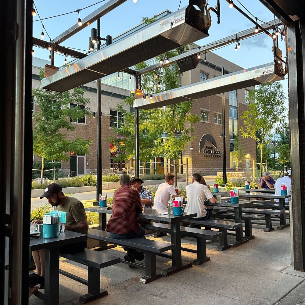 Calcana High Output Stainless Steel Gas Patio Heater with Temperature Control