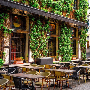 Eurofase Patio Heaters with Clover Plate at a restaurant