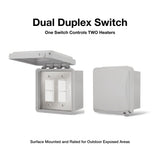 Dual Duplex Switch - angle view