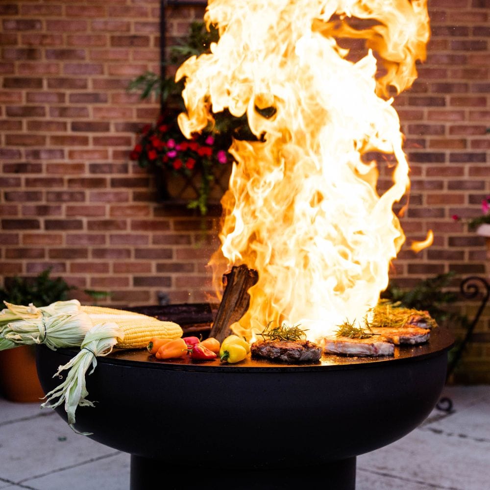 a roaring wood fire on the seasons fire pit grill