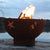 Fire Pit Art Sea Creatures - 36" Handcrafted Carbon Steel Gas Fire Pit