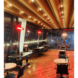 radtec torrid heaters ceiling mounted in restaurant - alternate view